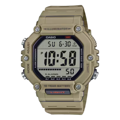 CASIO