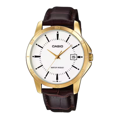 CASIO
