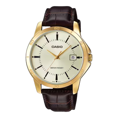 CASIO