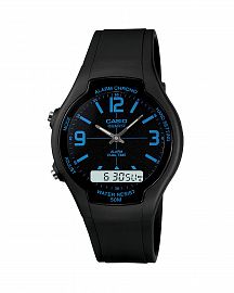 CASIO
