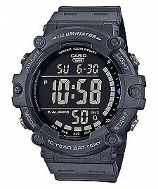 CASIO