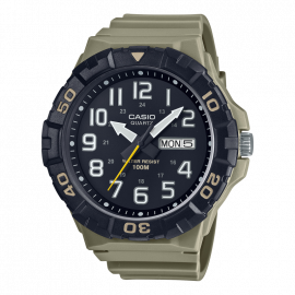 CASIO