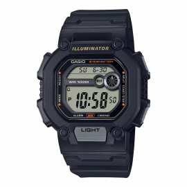 CASIO