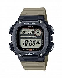 CASIO