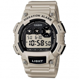 CASIO