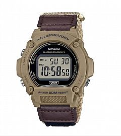 CASIO