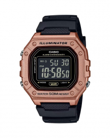 CASIO