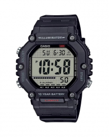 CASIO