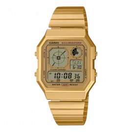 CASIO