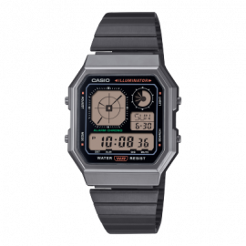 CASIO